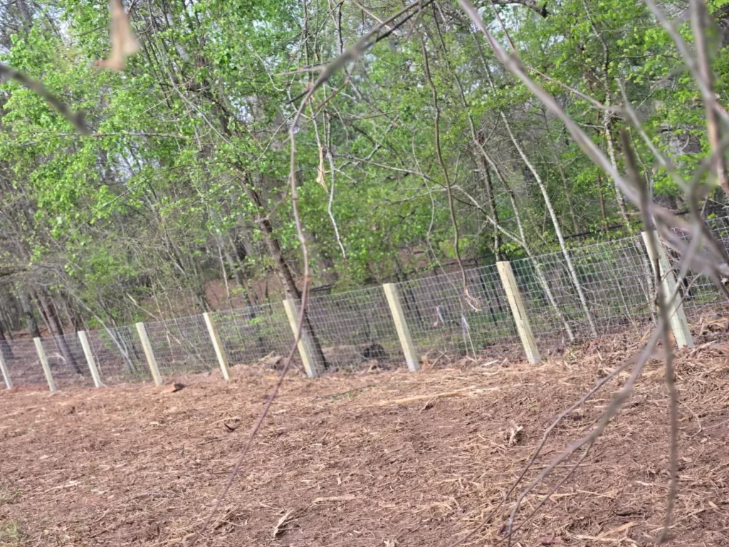 Projects quality fence (23)
